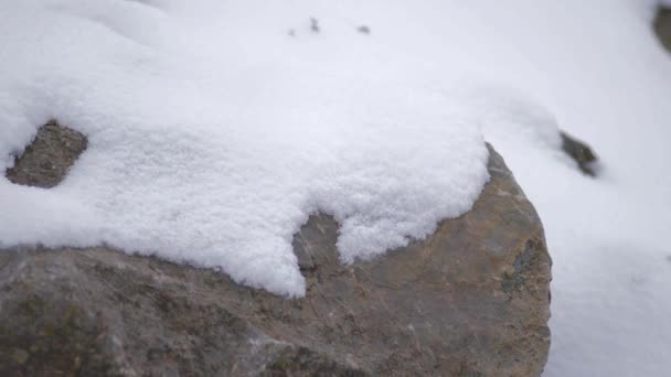 Strati Neve Che Accumulano Sulla Roccia Forte Tempesta Freddo Inverno — Video Stock