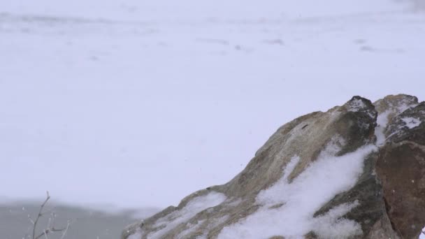 Camadas Neve Acumulando Rocha Tempo Frio Tempestuoso Duro Inverno Queda — Vídeo de Stock