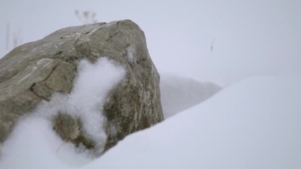 Strati Neve Che Accumulano Sulla Roccia Forte Tempesta Freddo Inverno — Video Stock