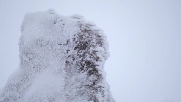 Снежные Слои Накапливаются Скале Суровую Бурную Холодную Погоду Зимний Период — стоковое видео