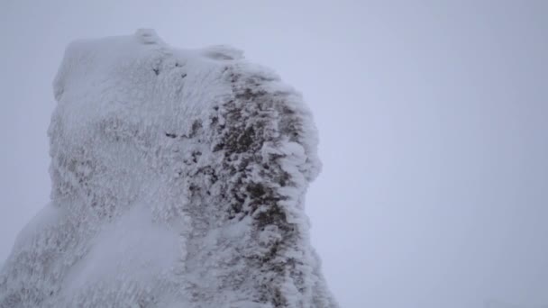 Sneeuw Lagen Accumuleren Rots Harde Stormachtige Koude Weer Winter Vallende — Stockvideo