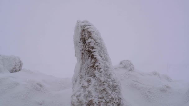 Strati Neve Che Accumulano Sulla Roccia Forte Tempesta Freddo Inverno — Video Stock