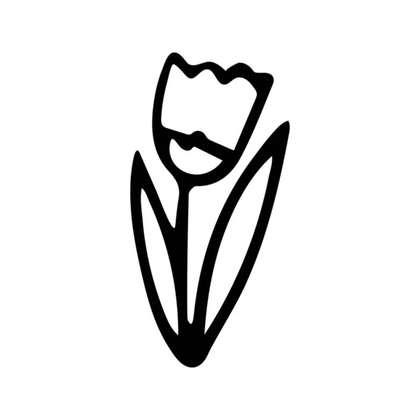 Çizimi Sevgililer Günü Lale Çiçeği Vektör Llüzyonu Doodle Tarzı Beyaz — Stok Vektör