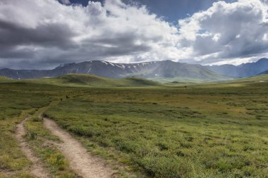 Oroy geçidinde. Altai Dağı. Sibirya 'da. Rusya