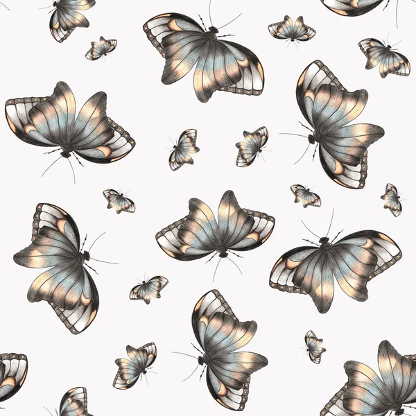 Motyle o różnych rozmiarach na białym tle. Płynny wzór z motylem. — Zdjęcie stockowe