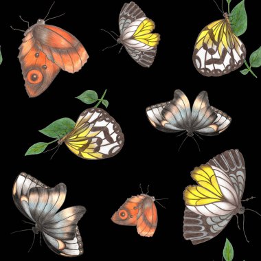 Kara Arkaplanda Farklı Boyutlarda Kelebekler. Kelebekli Kusursuz Desen.