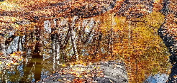 Piękna jesień jasny obraz atmosfery. żywe jesienne liście na tle wody. — Zdjęcie stockowe