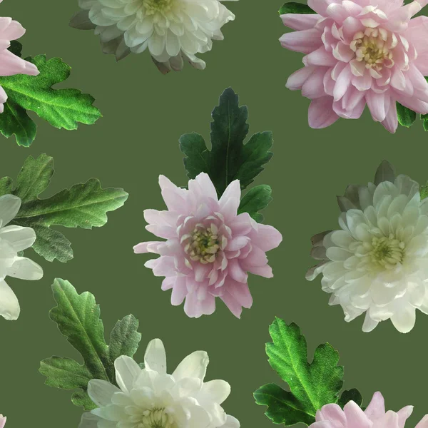 Foto Modello Digitale Senza Soluzione Continuità Con Crisantemi Natura Fiori — Foto Stock