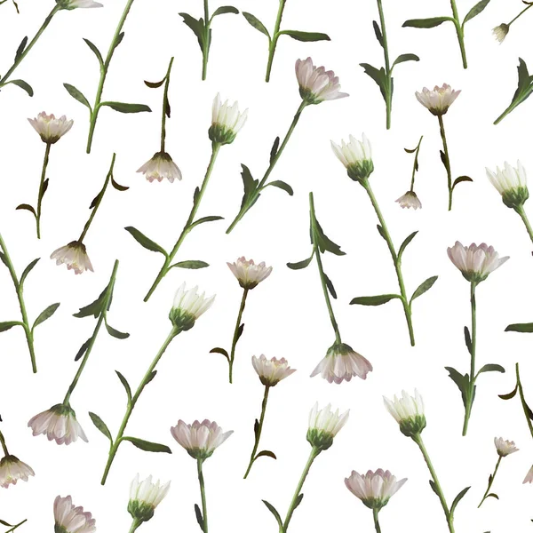 Foto y patrón digital sin costuras con flores de crisantemos de la naturaleza. —  Fotos de Stock