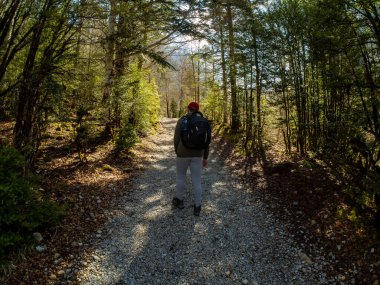 Ordesa 'nın ulusal parkında yürüyün ve Huesca, Aragon, İspanya' da bulunan kayıp dağda ormanda yürüyün.