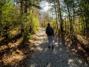 Ordesa 'nın ulusal parkında yürüyün ve Huesca, Aragon, İspanya' da bulunan kayıp dağda ormanda yürüyün.