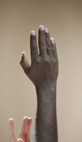 两只手的种族间联合 不同种族的人之间的爱的表示 手的表示 — 图库照片