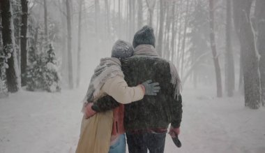 Ordesa 'nın ulusal parkında yürüyün ve Huesca, Aragon, İspanya' da bulunan kayıp dağda ormanda yürüyün.