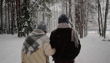 Ordesa 'nın ulusal parkında yürüyün ve Huesca, Aragon, İspanya' da bulunan kayıp dağda ormanda yürüyün.