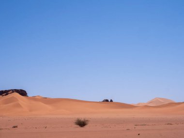 Fas, Afrika 'daki Sahara çölünün kum tepeleri..