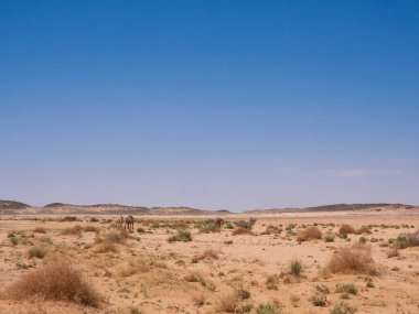 Kızıl Tadrart 'ın çöl manzarası. Mavi gökyüzünün altında kaya oluşumları ve altın kum. Cezayir Sahra 'sının doğal manzarası.