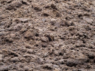 Topraktaki toprak, yakın - yakın.