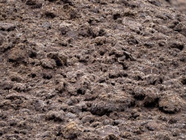 Toprak desenli toprak. arkaplan