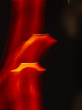 fantezi kaotik renkli fraktal desen. Soyut fraktal şekiller. 3d resimleme arkaplanı veya duvar kağıdı oluşturuluyor