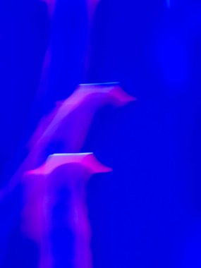 Işıklı soyut arkaplan