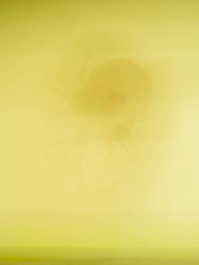 Bokeh ışıkları ile soyut arkaplan