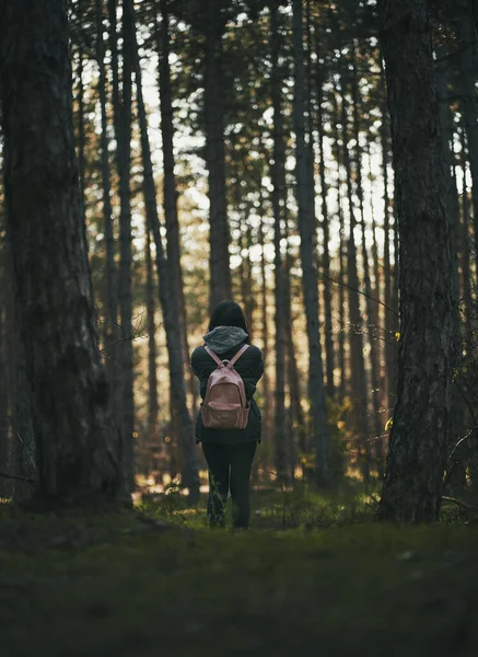 Žena Fotí Lese — Stock fotografie