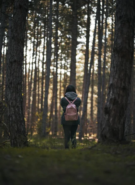 Femme Prenant Des Photos Dans Forêt — Photo