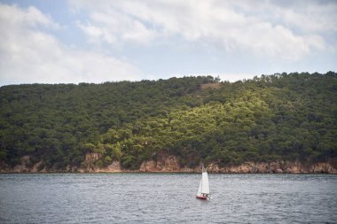 Deniz manzaralı, deniz manzaralı, deniz manzaralı, arkasında ada olan. Ada ormanında güneş izi. Yazın tekneyle açılmak.