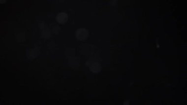 Doğal kar hızla düşüyor. Kar taneleri bokeh. Siyah arkaplan deseninde gerçek kar