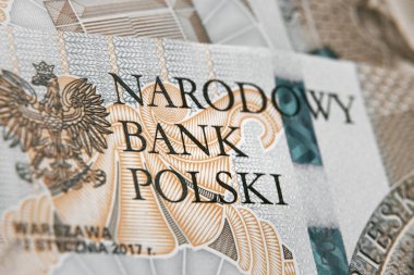 Polonya 'nın yeni banknotlarından oluşan ulusal Polonya bankasını kapat. 500 zloti. PLN faturasında narodowy banka polski tabelasının makro fotoğrafı. Sığ odaklanma. İnce ve keskin dokuya sahip yakın plan.