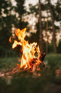Ormanlıkta kamp ateşi. Ormandaki günden sonra akşamları şenlik ateşi.