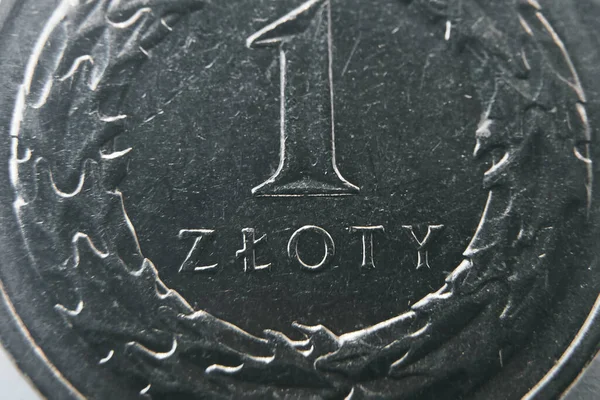 Feche Zloty Dinheiro Polaco Macro Shot Isolado Moeda Europeia — Fotografia de Stock