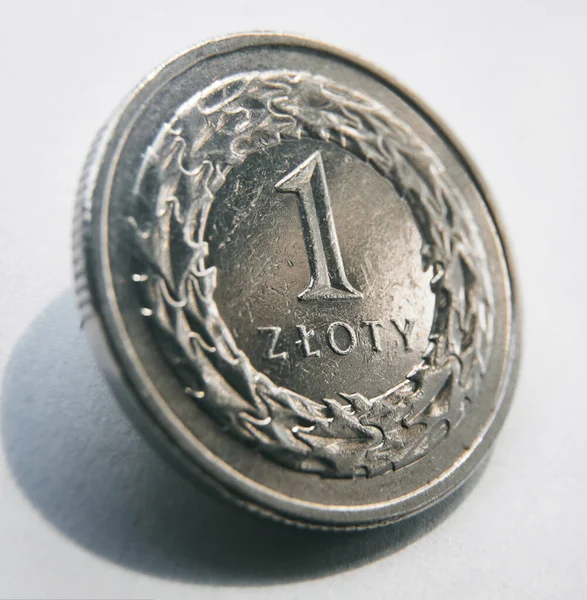 Närbild Zloty Polska Pengar Isolerade Makro Skott Europeiska Mynt — Stockfoto