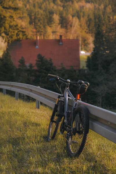 Outdoor biking during spring evening. Sport and adventure on the mountain bike. Green grass meadow and pine forest.