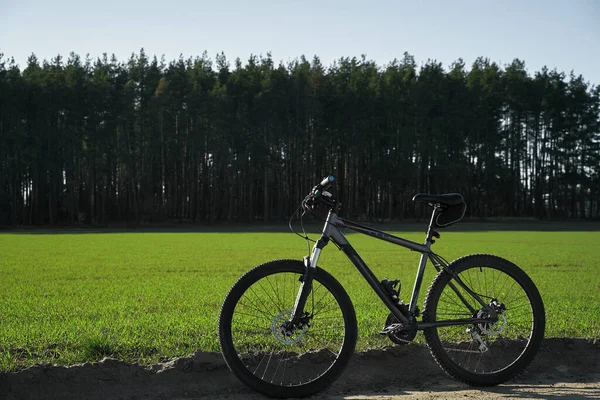 Bicicleta Livre Durante Noite Primavera Desporto Aventura Bicicleta Montanha Prado — Fotografia de Stock