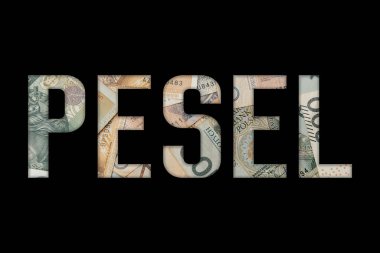 Polonya kimlik numarası. PESEL - Polonya 'daki kişisel kimlik numarası. PLN veya Polonya Zloti dokusu.
