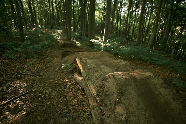 Trampolim Feito Pelo Homem Floresta Com Caminho Depois Dele Mountain — Fotografia de Stock