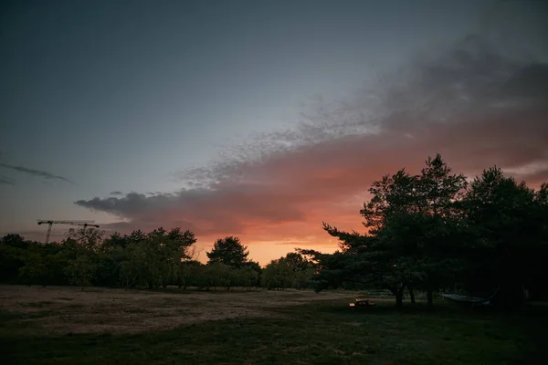 공원에서는 나무와 실루엣으로 뒤덮인 스러운 광경이 펼쳐진다 하늘의 주황색 — 스톡 사진