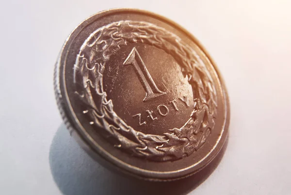 Zloté Mince Detailní Záběr Polských Peněz Mincích Investice Zájem Polandskou — Stock fotografie