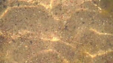 Su damlaları ve nedenler suyun yüzeyine düşer.