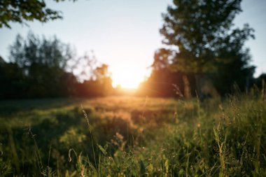 Şehir dışındaki kırsal bölgede gün batımı. Gün batımında açık hava manzarası