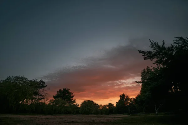 Tolle Aussicht Auf Den Sonnenuntergang Stadtpark Mit Bäumen Und Grassilhouetten — Stockfoto