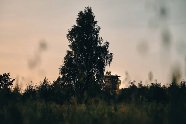 Houten Huis Het Bos Zonsopgang Het Bos — Stockfoto