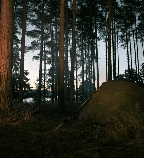 Nachtkamperen Met Een Tent Het Bos Toerisme Het Bos Licht — Stockfoto