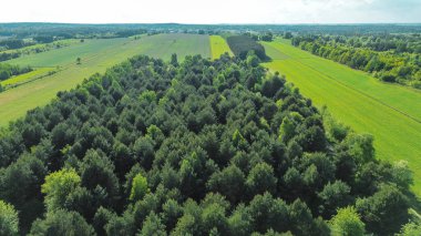 Doğal iklim akciğerlerini temsil eden el değmemiş orman.