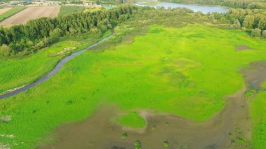 Çayır ve su seviyeleriyle vahşi doğa manzarası