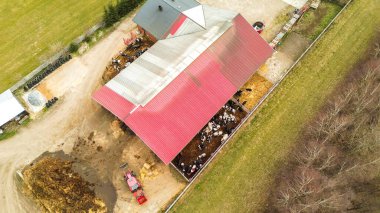 İneklerin ve traktörlerin olduğu taşra çiftliği