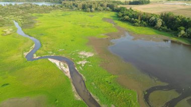 Su ve çimenli manzaralı hava manzarası
