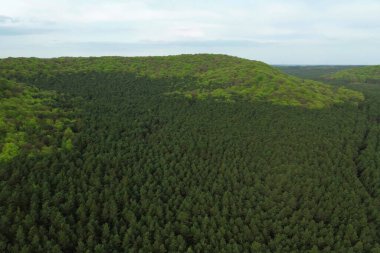 Yeşil ormanlı tepelerin havadan görünüşü