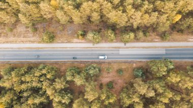 Spring forest with road and moving cars
